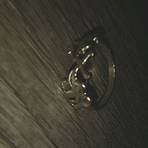 Elephant Ring